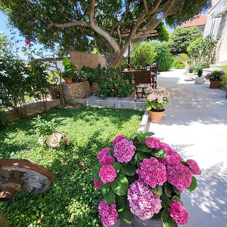 Apartments Miljas دوبروفينك المظهر الخارجي الصورة